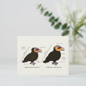 黄素晴らし頭V小 ポストカード (スタンド正面)