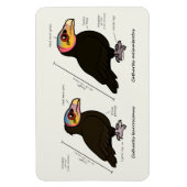 黄素晴らし頭V小 マグネット (縦)