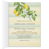 黄素朴レモンと結婚葉 (内側 (右))