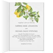 黄素朴レモンと葉C結婚の (内側 (右))