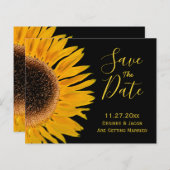 黄素朴色の黒ひまわり予算の保存日 (正面/裏面)