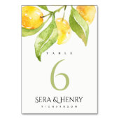 黄緑水色紅葉オリーブ金ゴールドテーブル テーブルナンバー (裏面)