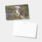 黄色いくちばし バッジ (正面＆裏面)