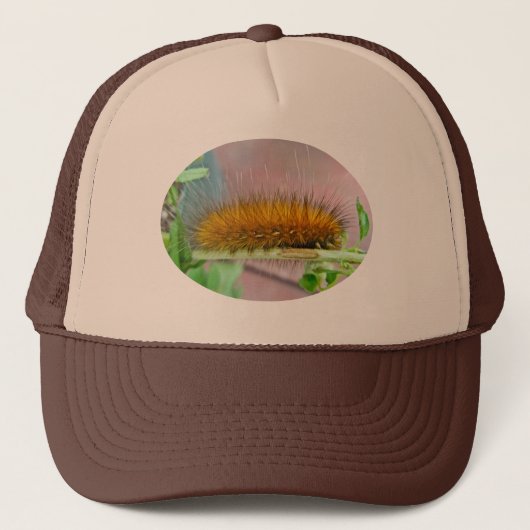 黄色いくまの幼虫のバージニア人のヒトリガ項目 キャップ (正面)