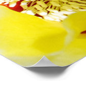 黄色いとげのあるナシ ポスター (角)