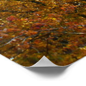 黄色いの枝が明るい秋カラフル ポスター (角)