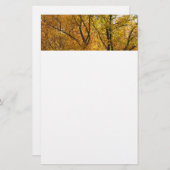 黄色いの枝が明るい秋カラフル 便箋 (正面/裏面)