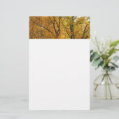 黄色いの枝が明るい秋カラフル 便箋 (スタンド正面)