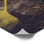 黄色いを持つボレ葉ート ポスター (角)