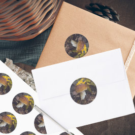 黄色いを持つボレ葉ート ラウンドシール