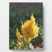 黄色いアスティルベの花 フォトプラーク (正面)