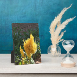 黄色いアスティルベの花 フォトプラーク