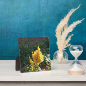 黄色いアスティルベの花 フォトプラーク (インサイチュ)