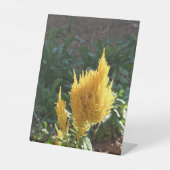 黄色いアスティルベの花 台座サイン (正面)