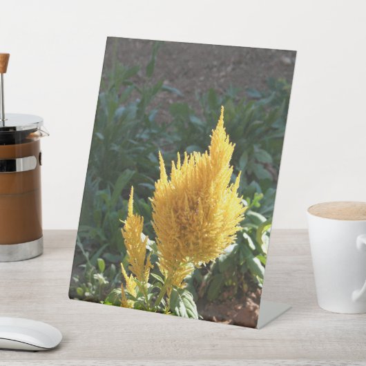 黄色いアスティルベの花 台座サイン (インサイチュ)