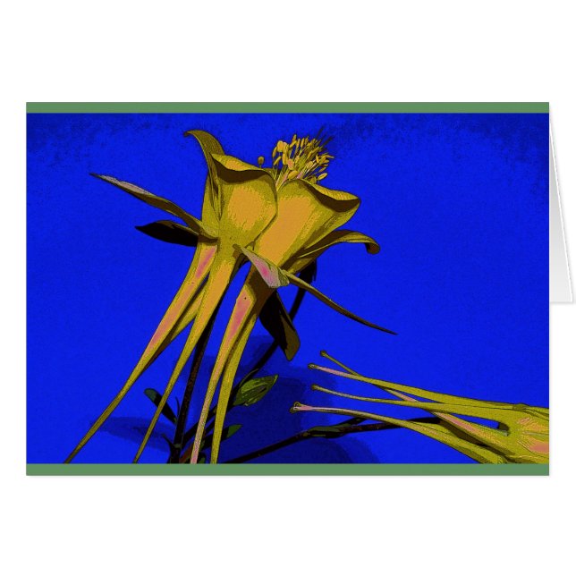 黄色いオダマキ（植物）の写真 (正面横)