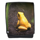 黄色いカエル バックパック (正面)