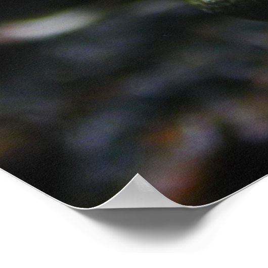 黄色いカエル ポスター (角)