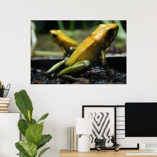 黄色いカエル ポスター (ホームオフィス)