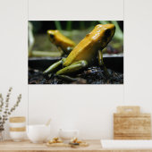 黄色いカエル ポスター (キッチン)