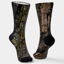 黄色いカッコいい地衣類を持つ茶色の苔むした木の樹皮