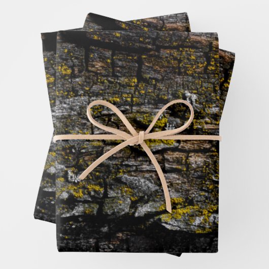 黄色いカッコいい地衣類を持つ茶色の苔むした木の樹皮 ラッピングペーパーシート (インサイチュ)