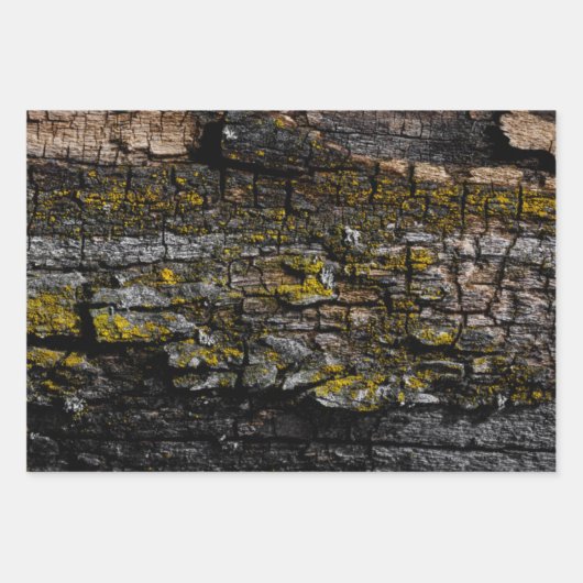 黄色いカッコいい地衣類を持つ茶色の苔むした木の樹皮 ラッピングペーパーシート (正面)
