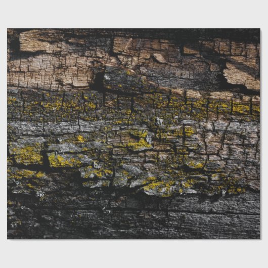 黄色いカッコいい地衣類を持つ茶色の苔むした木の樹皮 ラッピングペーパー (フラット)
