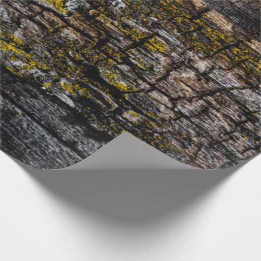 黄色いカッコいい地衣類を持つ茶色の苔むした木の樹皮 ラッピングペーパー (角)