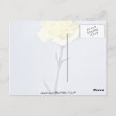 黄色いカーネーションの花 ポストカード (裏面)