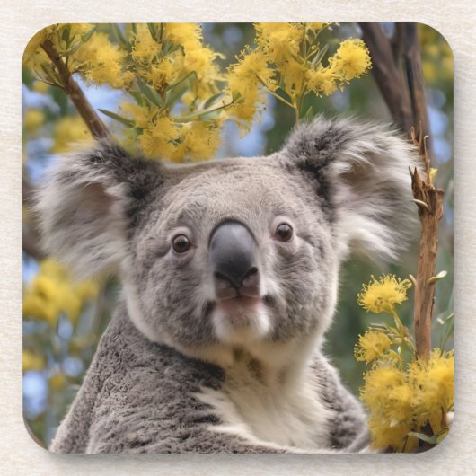 黄色いガラガラとコアラ・ベア コースター (正面)