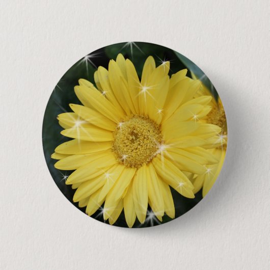 黄色いガーベラデイジーの花と星 缶バッジ (正面)