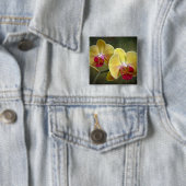 黄色いガ蘭-コチョウラン 缶バッジ (インサイチュ)