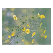 黄色いキンボウゲ テーブルクロス (正面(横))