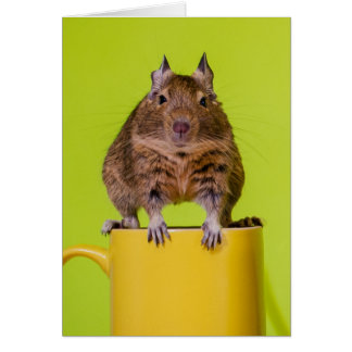 黄色いコップのDegu