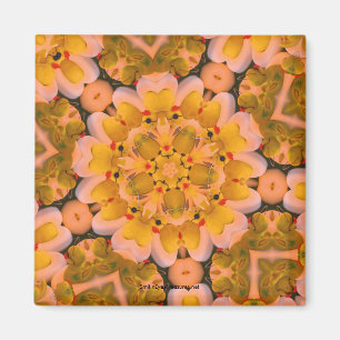 黄色いゴムはKaleidoscropeの磁石を引込めます マグネット