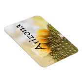 黄色いサボテンの花として彼らの開花，アリゾナ マグネット (右側)