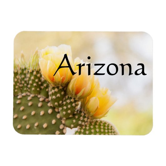 黄色いサボテンの花として彼らの開花，アリゾナ マグネット (横)