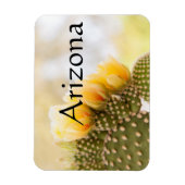 黄色いサボテンの花として彼らの開花，アリゾナ マグネット (縦)