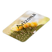 黄色いサボテンの花として彼らの開花，アリゾナ マグネット (左側)