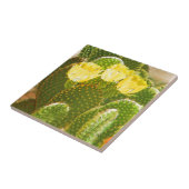 黄色いサボテンの花 タイル (側面)