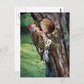 黄色いシャフトのちらつきと木空洞 ポストカード (正面/裏面)