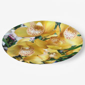 黄色いシュンラン属の蘭 ペーパープレート (アングル)