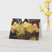 黄色いシンガポールの蘭の挨拶状 カード (黄色い花)