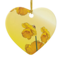 黄色いスイセンのラッパスイセン