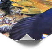 黄色いスポンジの上のサソリ ポスター (角)