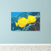 黄色いタンガのペア キャンバスプリント (インサイチュ (ウッドフロア))