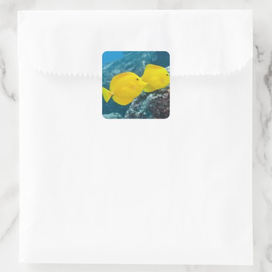 黄色いタンガのペア スクエアシール (バッグ)