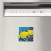 黄色いタンガのペア マグネット (インサイチュ (食洗機))