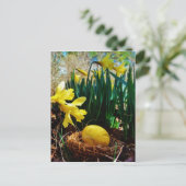 黄色いダッフォジルと黄色いイースター卵 シーズンポストカード (スタンド正面)